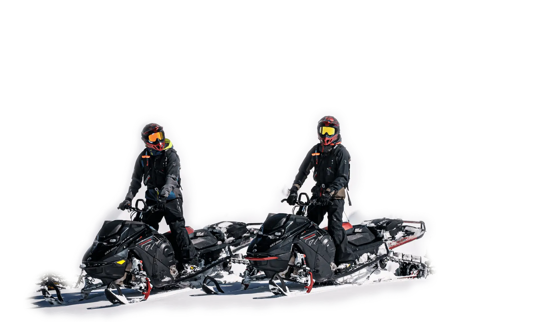 ckmp two sledders